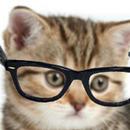 Crazy Hipster Cat APK
