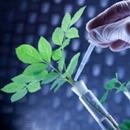 Agricultural Biotechnology aplikacja