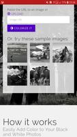 Convert B&W Photo to Color with - Algorithmia capture d'écran 1