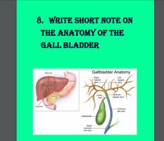 ANATAB Anatomy Past Questions  bài đăng