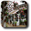 Andalusian Amazing Patios