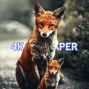 Animal Wallpaper 4K APK