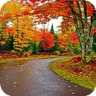 Autumn Live Wallpaper icon