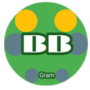 BBGram APK