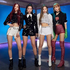 BLACKPINK Channel icône