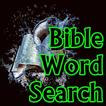 Bible Word Search LCNZ Word Game