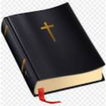 Bible school library icon