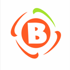 BlockFlux Org-icoon