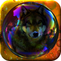 Bubbles