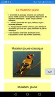CHARDONNERET screenshot 2