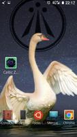Celtic Animal Zodiac ポスター
