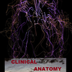 Clinical Anatomy free APK