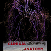 Clinical Anatomy free