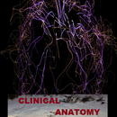 Clinical Anatomy free APK