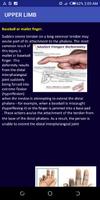 Clinical Anatomy free-poster