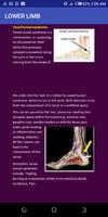 Clinical Anatomy free screenshot 1