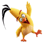 Crazy CROW - Bird Game biểu tượng