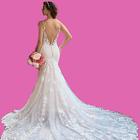 Wedding Dresses & Prom Dresses-icoon