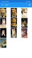 برنامه‌نما Cute Cats Wallpaper عکس از صفحه