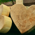 DIY Woodworking Plans