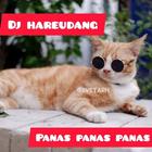DJ HAREUDANG PANAS PANAS 2020 아이콘