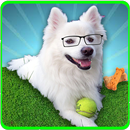 APK Dog training app