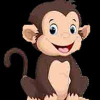 Doha Monkey পোস্টার