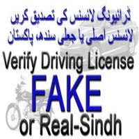 Driving Licence Verification Sindh Ekran Görüntüsü 2