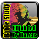 Elijah fed by Ravens LCNZ Bible Study Guide APK