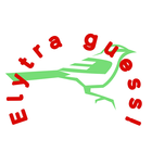 Elytra guess! biểu tượng