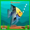 FISHING FIASCO APK