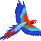FLAPPY THE PARROT LCNZ BIRD GAME biểu tượng