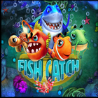 Fish Catch icône