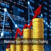 Forex Trading - How To Become a Great Trader.