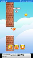 Poster Flappy vole