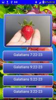 Fruits of the Spirit LCNZ Bible Quiz imagem de tela 1