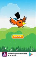 Poster Flappy The Furious Bird