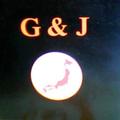 GJ bearing japan