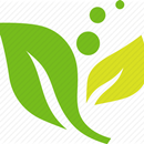 Green Browser APK