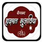 Hazrat Muawia Hindi Book icon