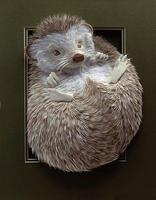 Hedgehog Wallpapers HD 截图 3