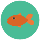 Hungry Fishing App icon