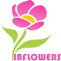 IBflowerAdmin
