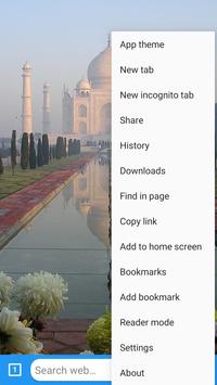 Indian Web screenshot 2