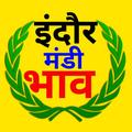 Indore mandi bhav