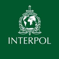 Interpol تصوير الشاشة 2
