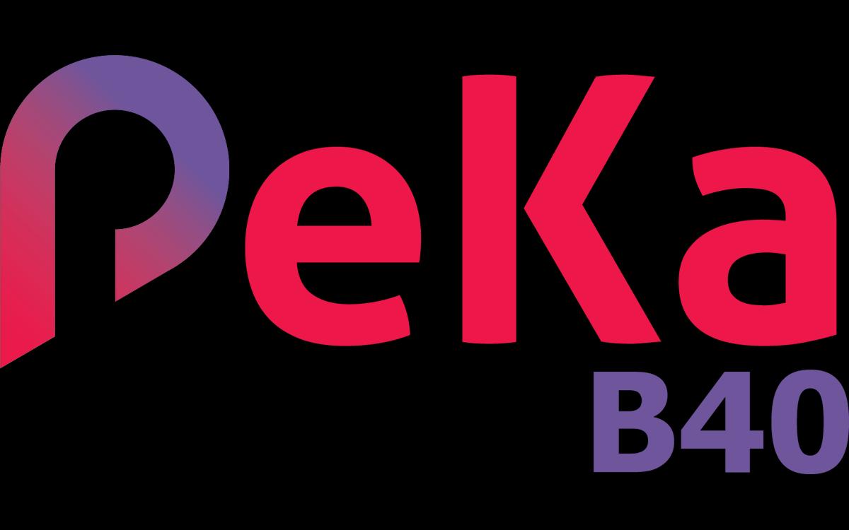 Semak Kelayakan Pekab40 For Android Apk Download