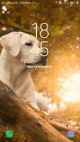 Labrador Retriever Live Wallpaper captura de pantalla 3