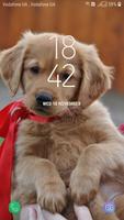 Labrador Retriever Live Wallpaper Poster