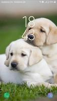 Labrador Retriever Live Wallpaper captura de pantalla 1